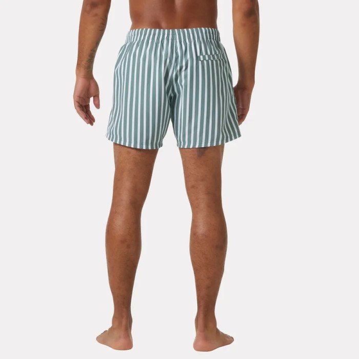 Newport Swim Trunks  GREY CACTUS