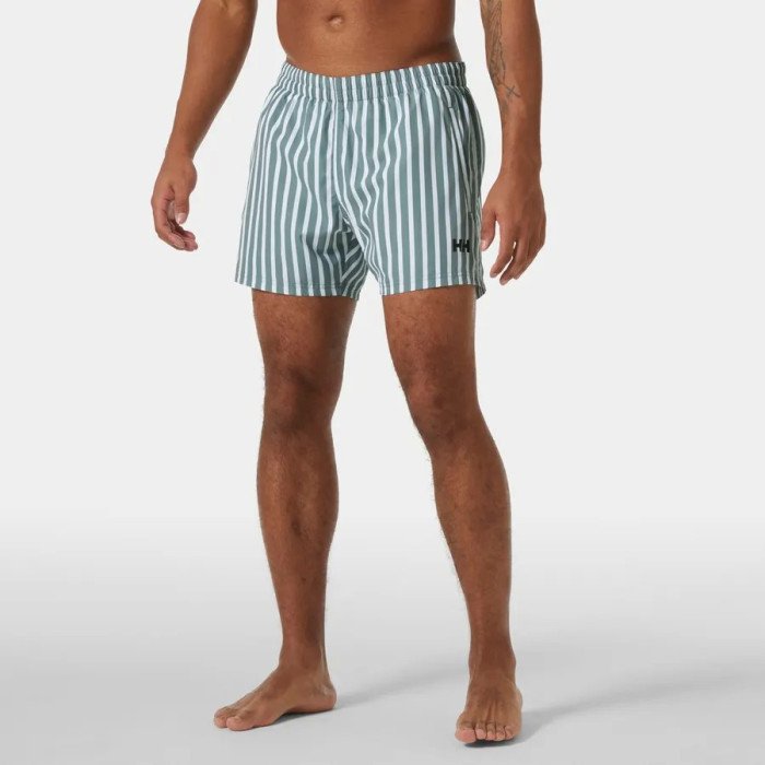 Newport Swim Trunks  GREY CACTUS