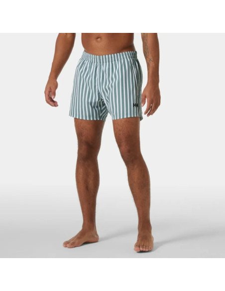Newport Swim Trunks  GREY CACTUS