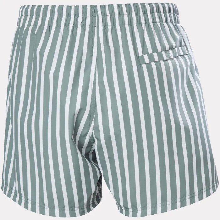Newport Swim Trunks  GREY CACTUS