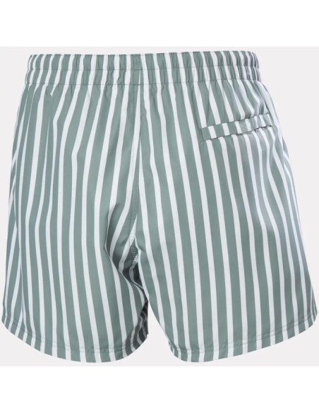Newport Swim Trunks  GREY CACTUS